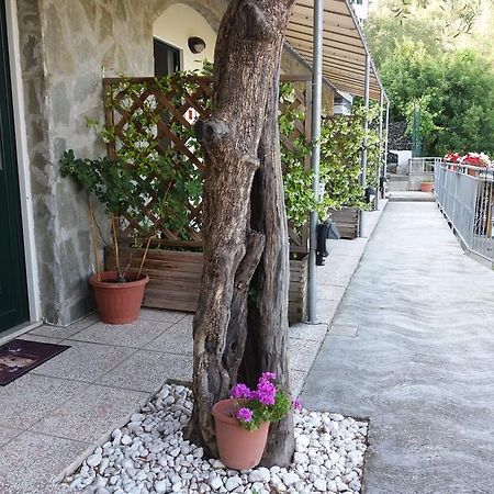 Affittacamere Arabafenice Vezzano Ligure Exterior foto