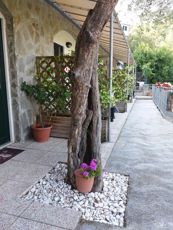 Affittacamere Arabafenice Vezzano Ligure Exterior foto
