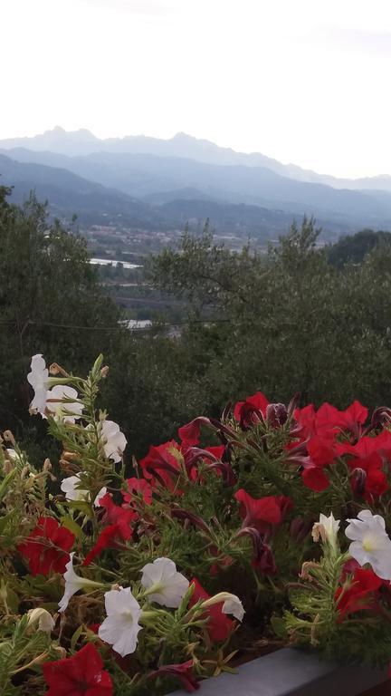 Affittacamere Arabafenice Vezzano Ligure Exterior foto
